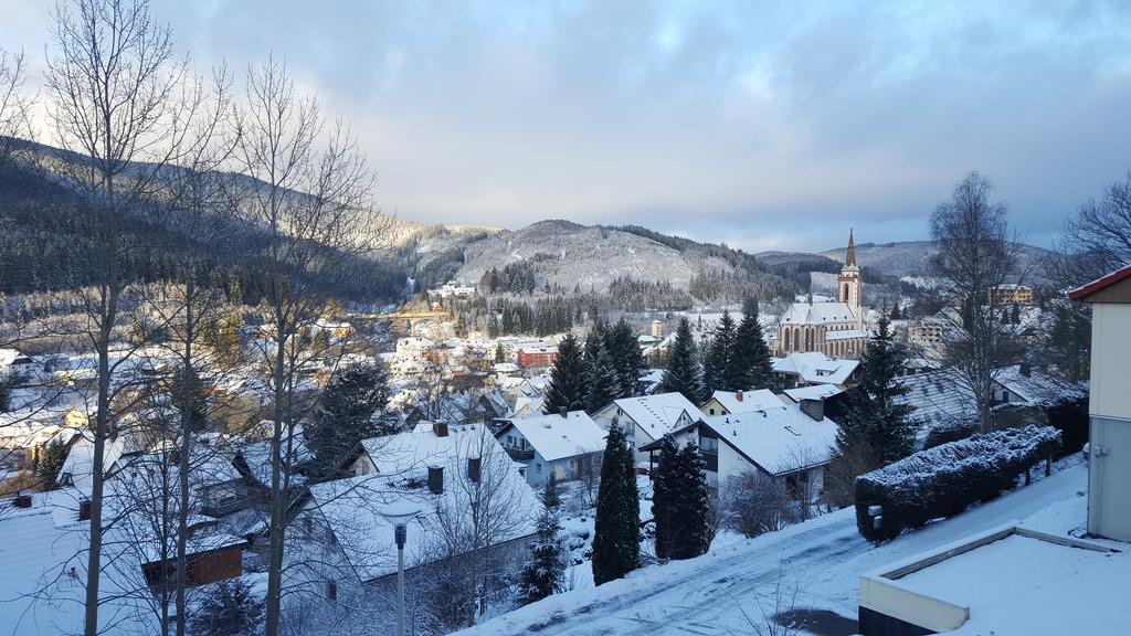 Hochschwarzwald Ferienwohnung Titisee-Neustadt Εξωτερικό φωτογραφία